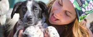 Puppy training and socialization in Jackson Hole